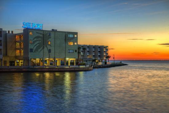 410-gorgeous Views, Waterfront, Wifi, Pool And Close To Bucs Stadium Apartment