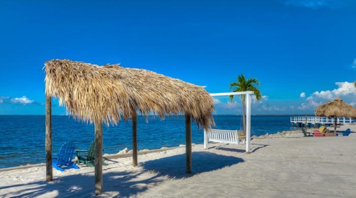 410-gorgeous Views, Waterfront, Wifi, Pool And Close To Bucs Stadium Tampa