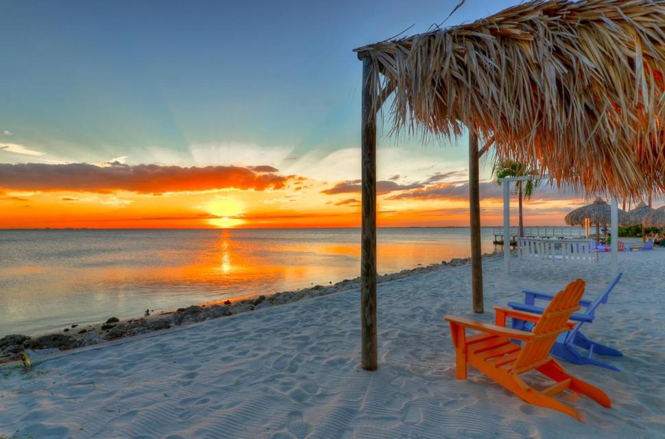 410-gorgeous Views, Waterfront, Wifi, Pool And Close To Bucs Stadium * Tampa